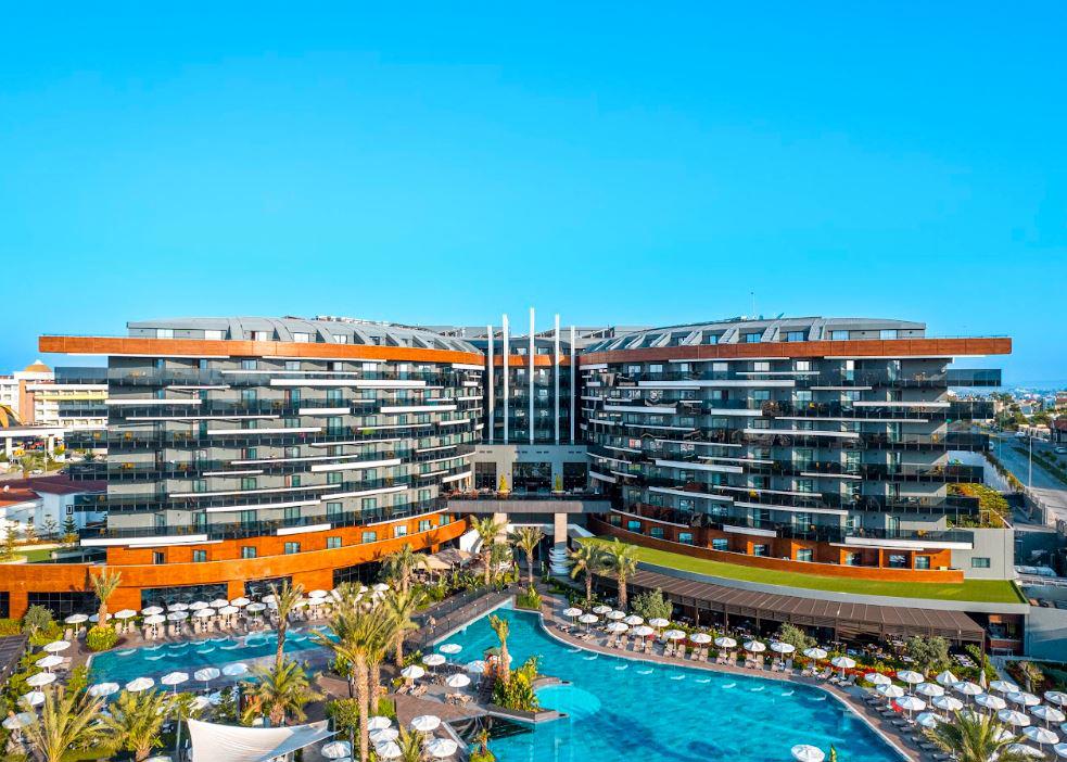 Calyptus Kirman Premium