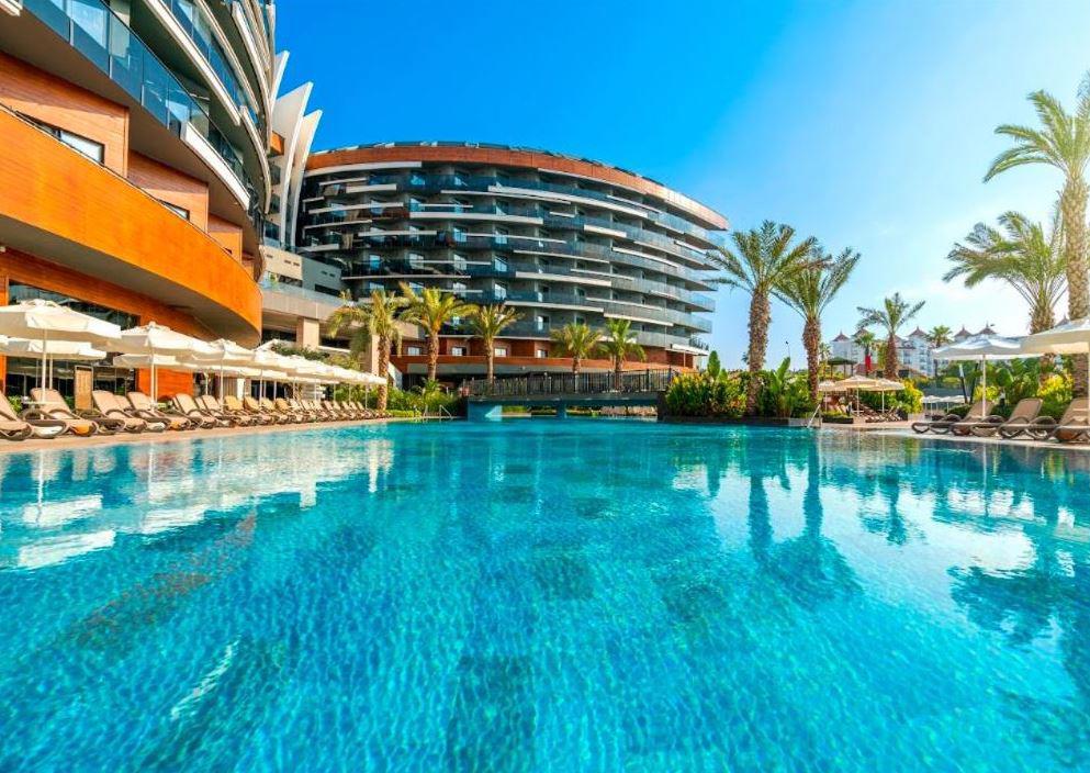 Calyptus Kirman Premium