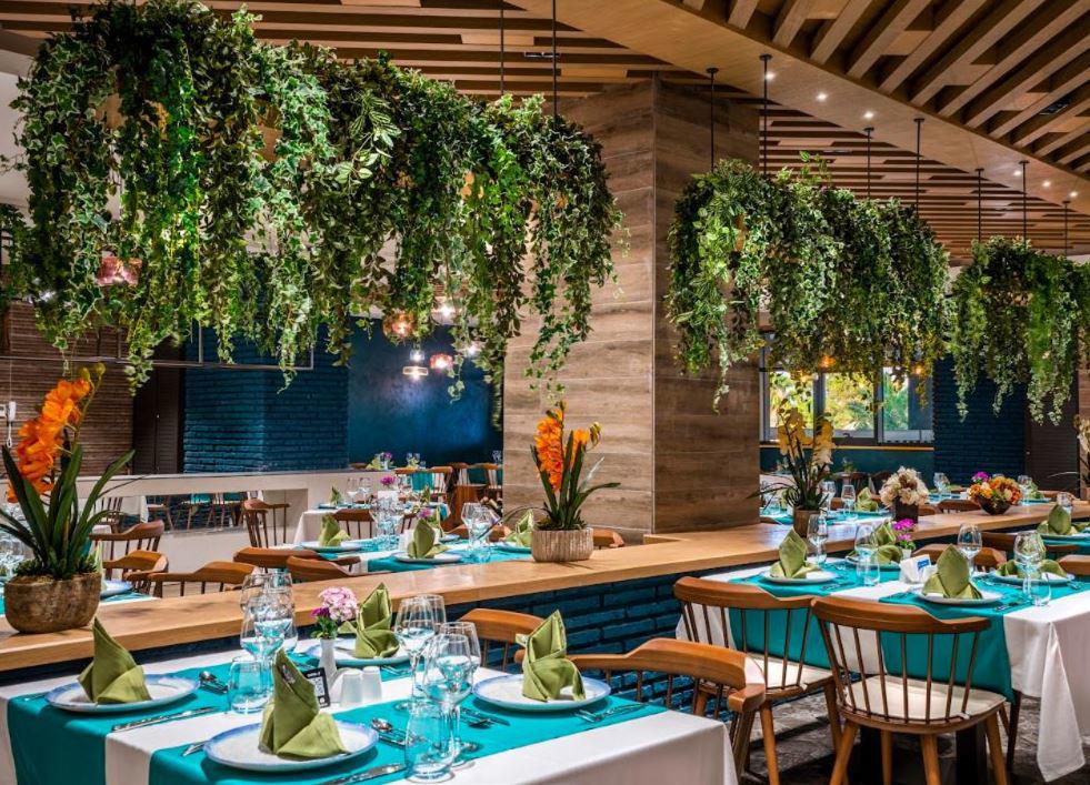 Calyptus Kirman Premium