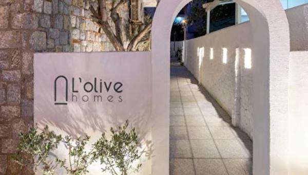 L Olive Homes