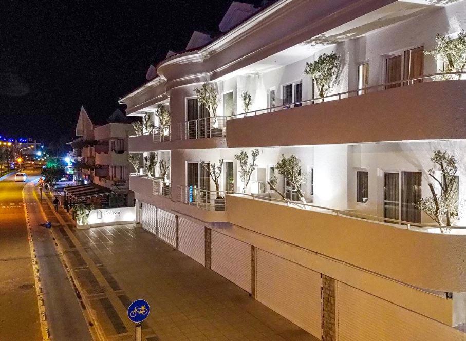 L Olive Homes