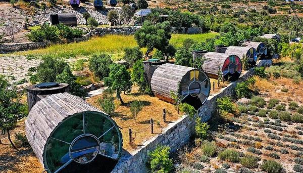 Vadi Alaçatı