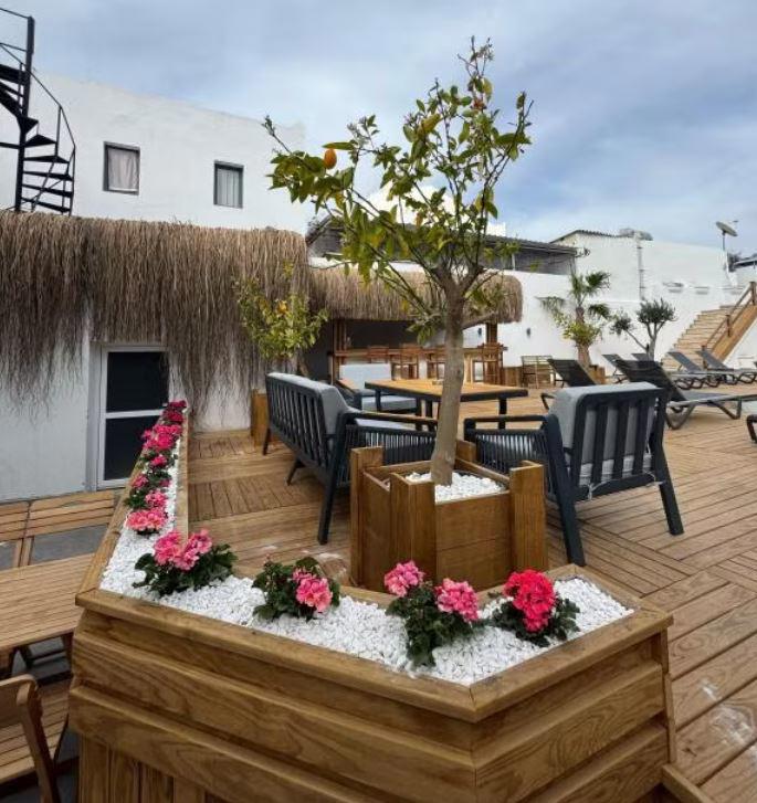 Costa Viva