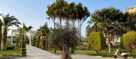 Laur Hotels Experience & Elegance