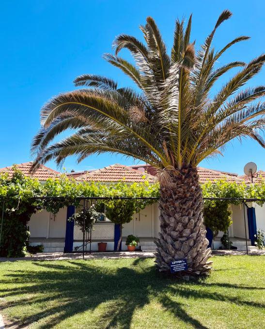 Tahsin Ar Tatil Köyü