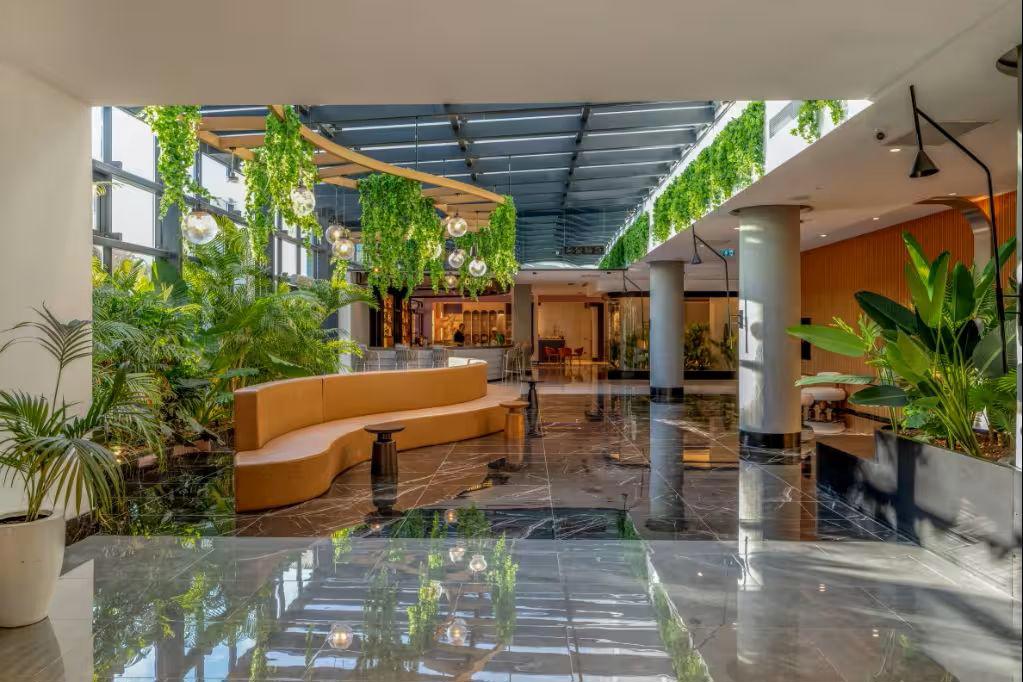 Berry Blue Hotels
