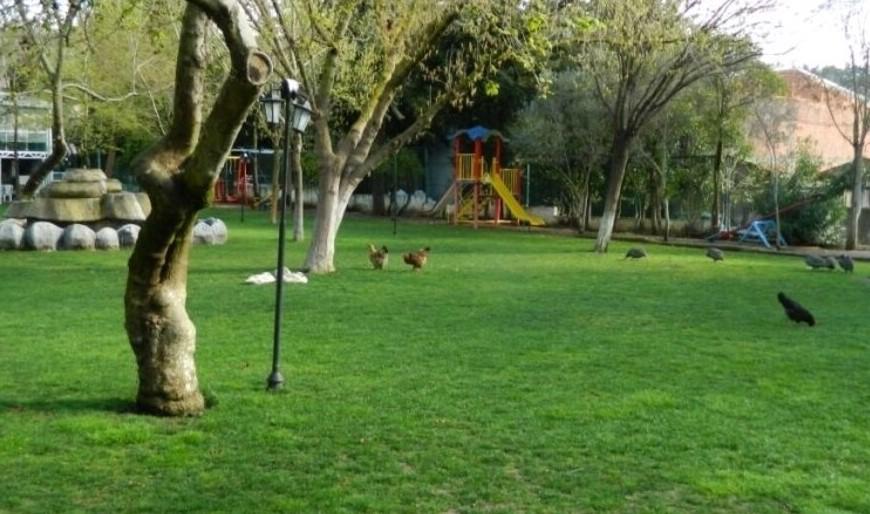 Kisikpet Hotel