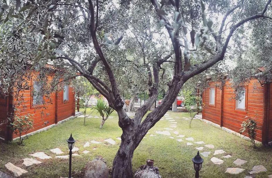 Yelkovan Zeytin Evi