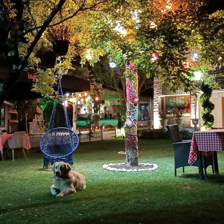 Kartepe Köşkü