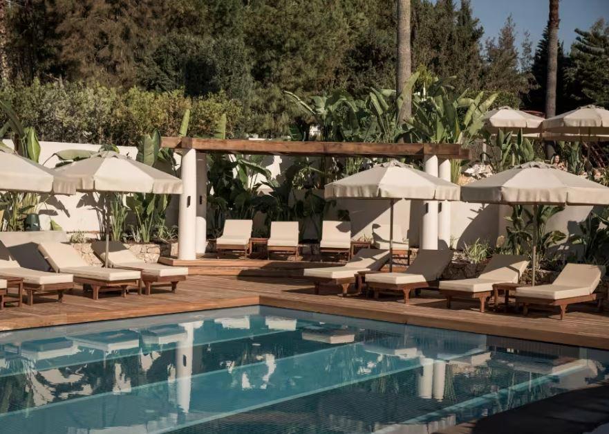 Adalya Bliss + 16 Adults Only