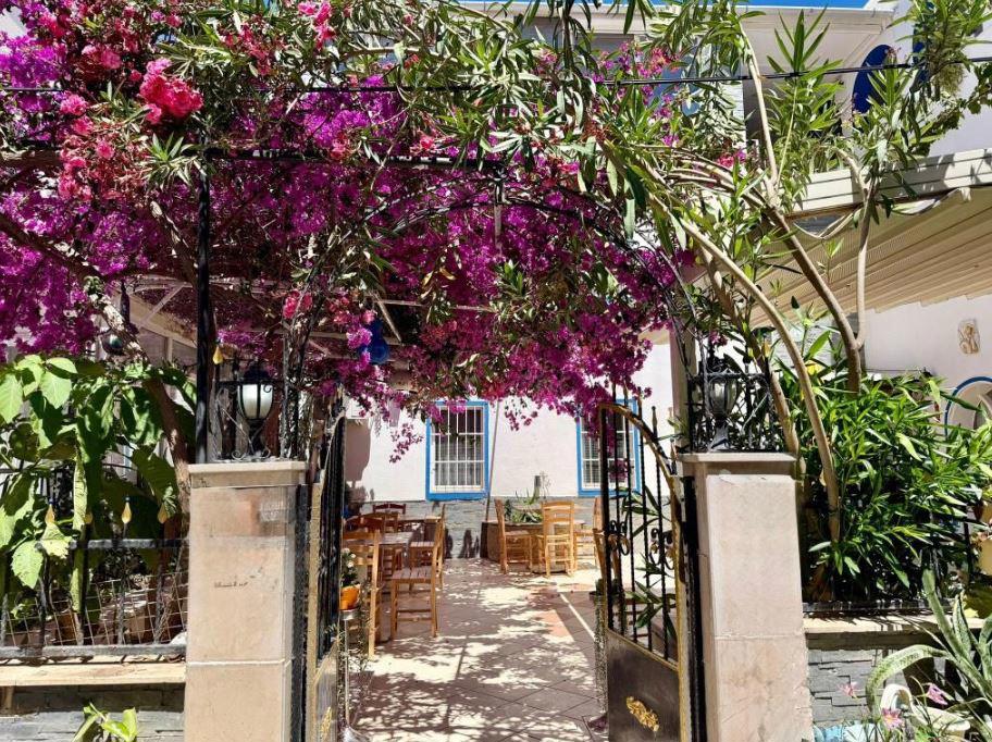 Kale Hotel Bodrum