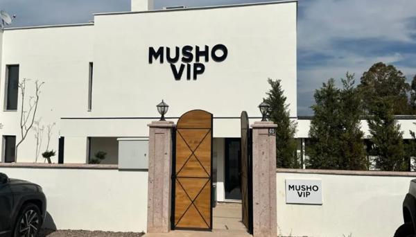 Musho Vip (+12 Yaş)