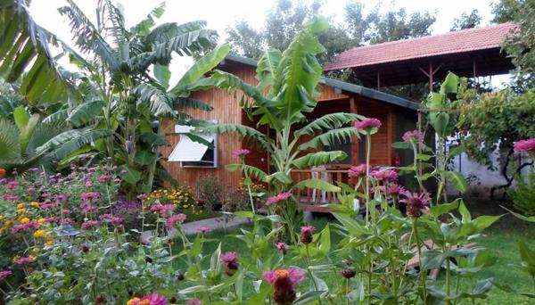 Estelar Bungalows