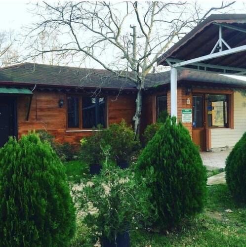 Green Garden