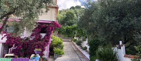 Biodenge Hotel