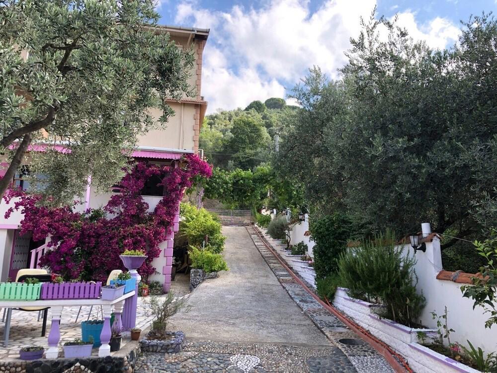 Biodenge Hotel