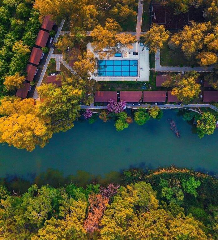 Lemonpark House