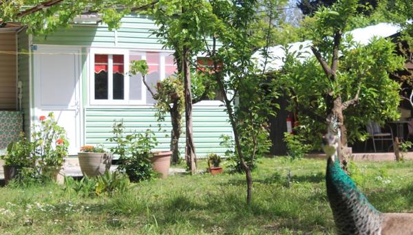 Alican Saklıbahçe Pension