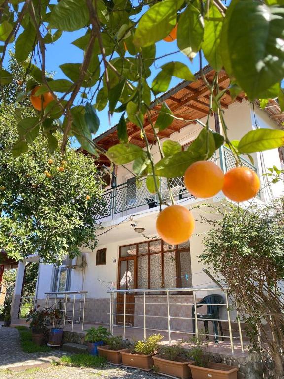 Çıralı Irmak Hotel