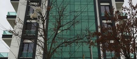 Afion Thermal Otel