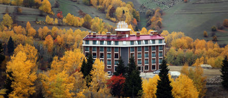 Black Forest Hotel