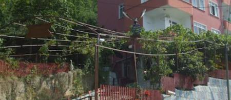 Şahintepesi Pansiyon