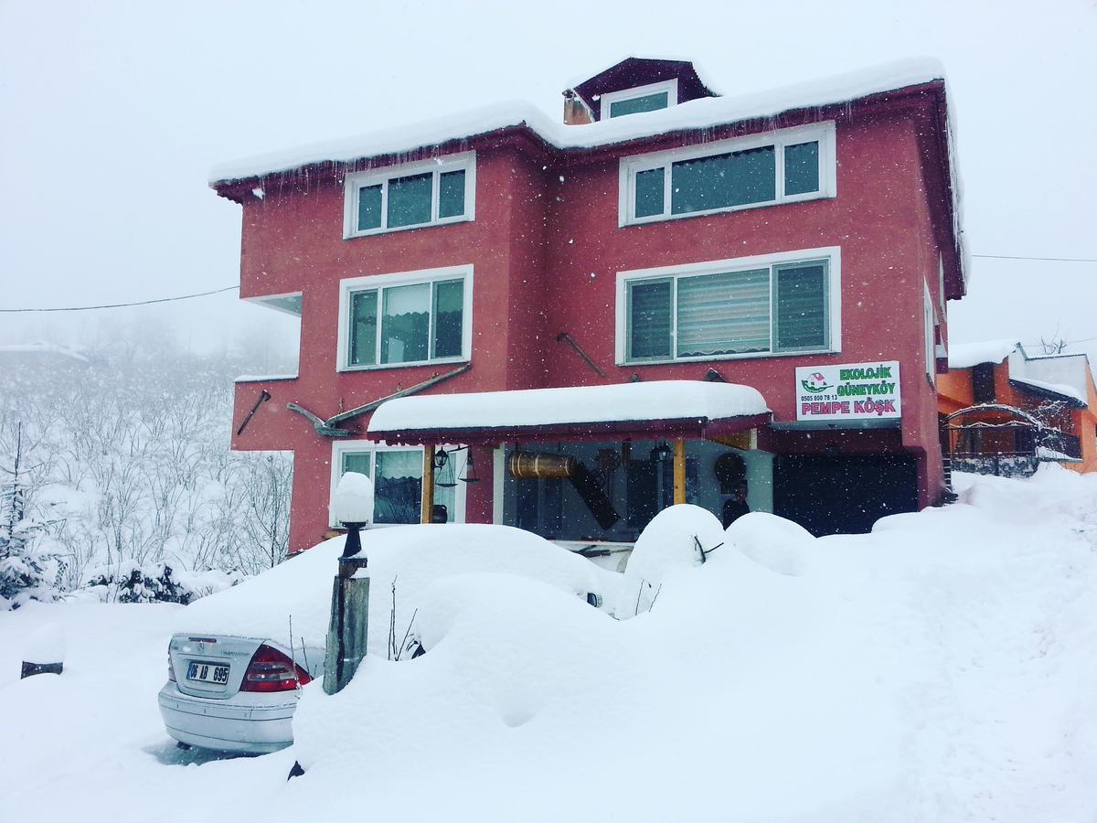 Ekolojik Güney Koy Pembe Köşk