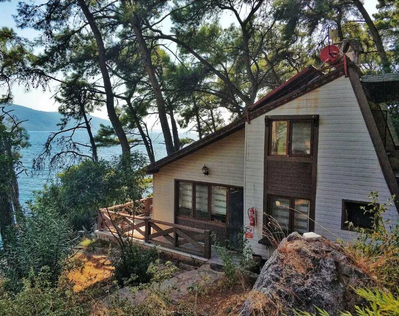 Orman Kampi Tas Evleri