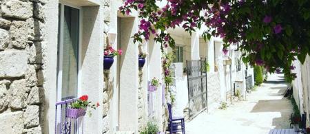 Lavender Otel