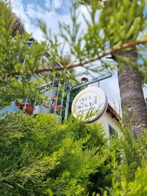 Olea Sığacık Pansiyon & Bistro