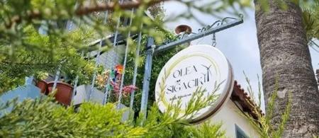 Olea Sığacık Pansiyon & Bistro