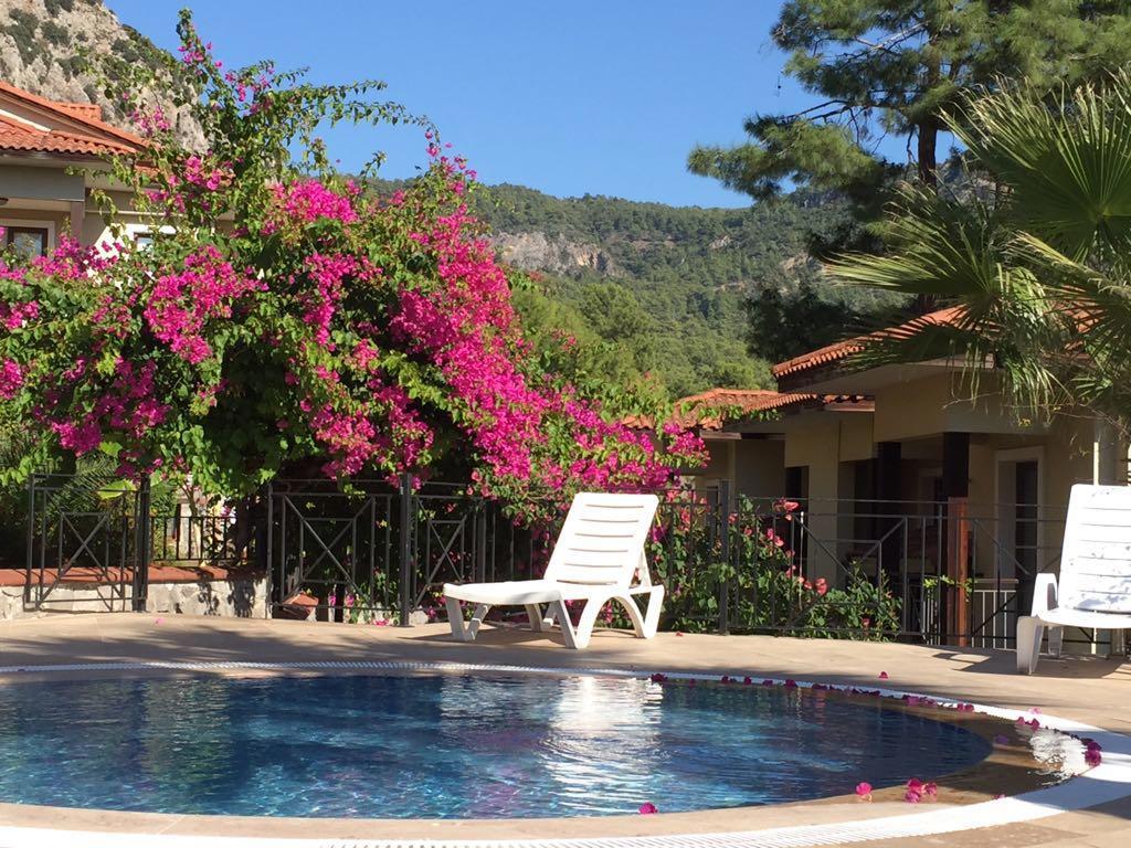 Terrace Life Palm Apart