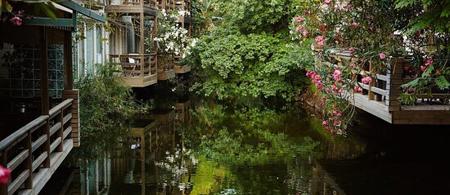 Golden Key Bördübet