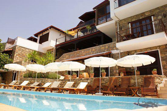 Lazy Lizard Boutique