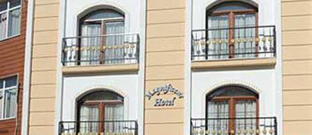 Magnificent Hotel