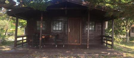 Live Asist Beach Canli Orman