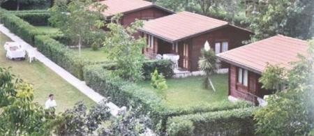 Green Garden
