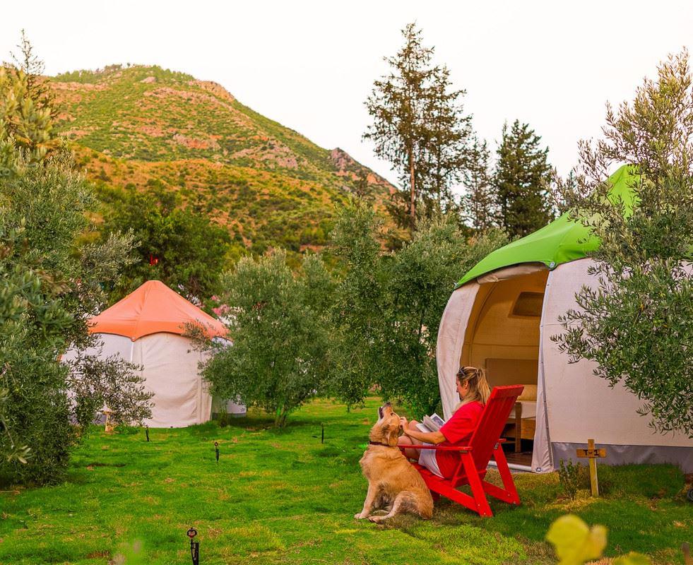Chingene Glamping