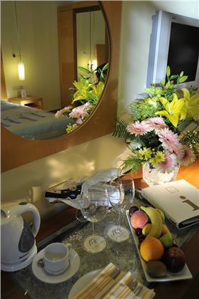 Gypsophila Club Marine