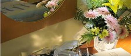 Gypsophila Club Marine