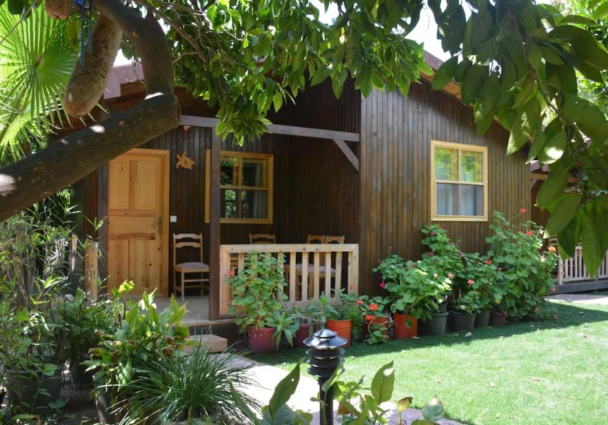 Caretta Caretta Pension