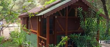 Canario Pension