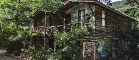 Kadir's Tree Houses