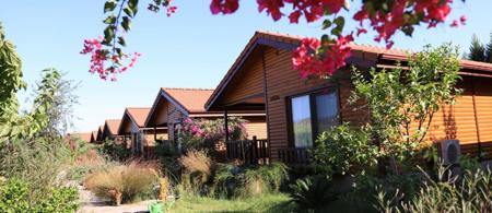 Leontopolis Apart Otel