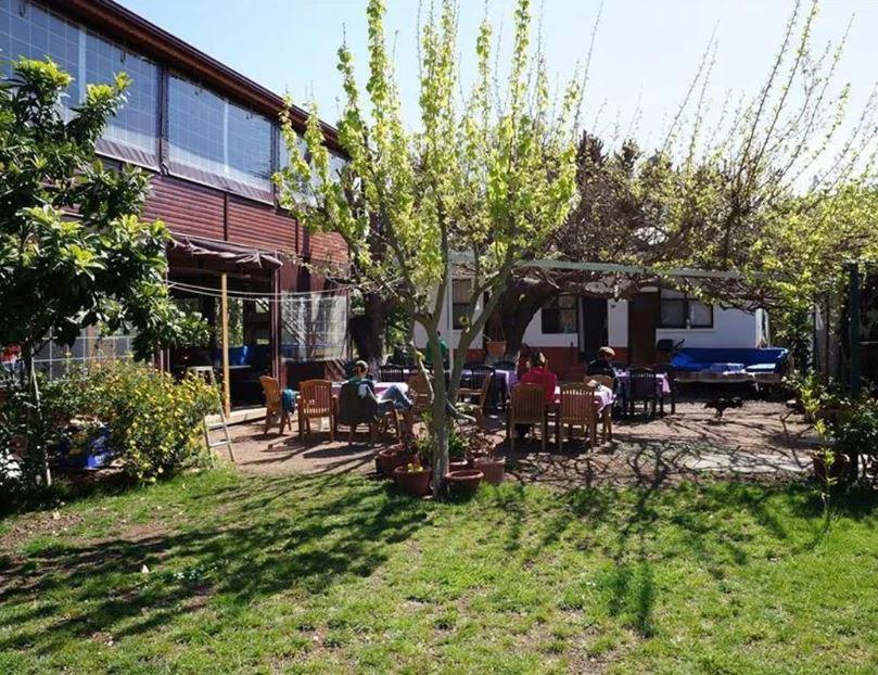 Alibaba Pension Cirali Olympos