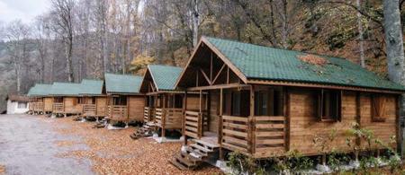 Habitat Mesire Evleri Yedi Göller Milli Parkı