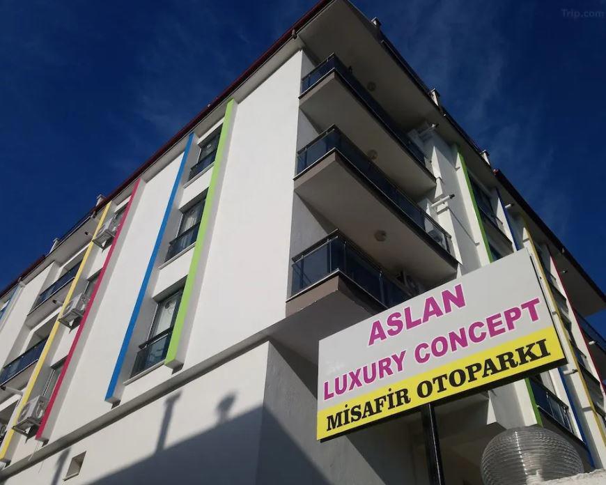 Aslan Luxury Concept