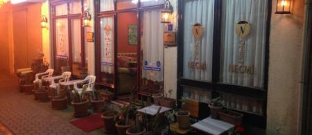 Hotel Necmi