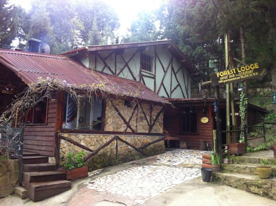Ağva Orman Evleri Forest Lodge