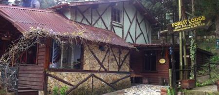 Ağva Orman Evleri Forest Lodge